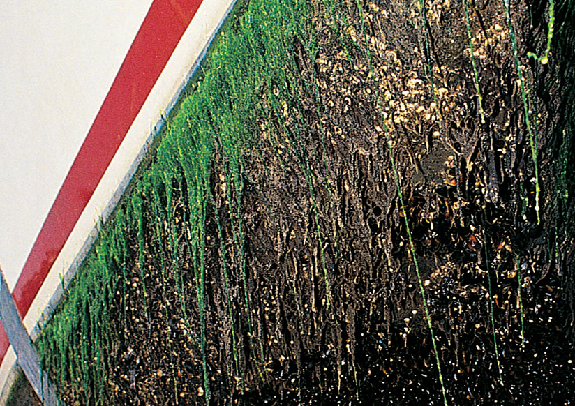 Hvit båtskrog med ekstrem begroing