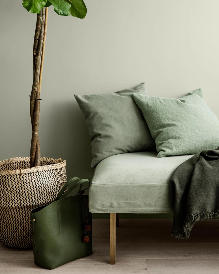 En daybed lent opp mot en lysegrønn vegg i Jotun Pale Linden