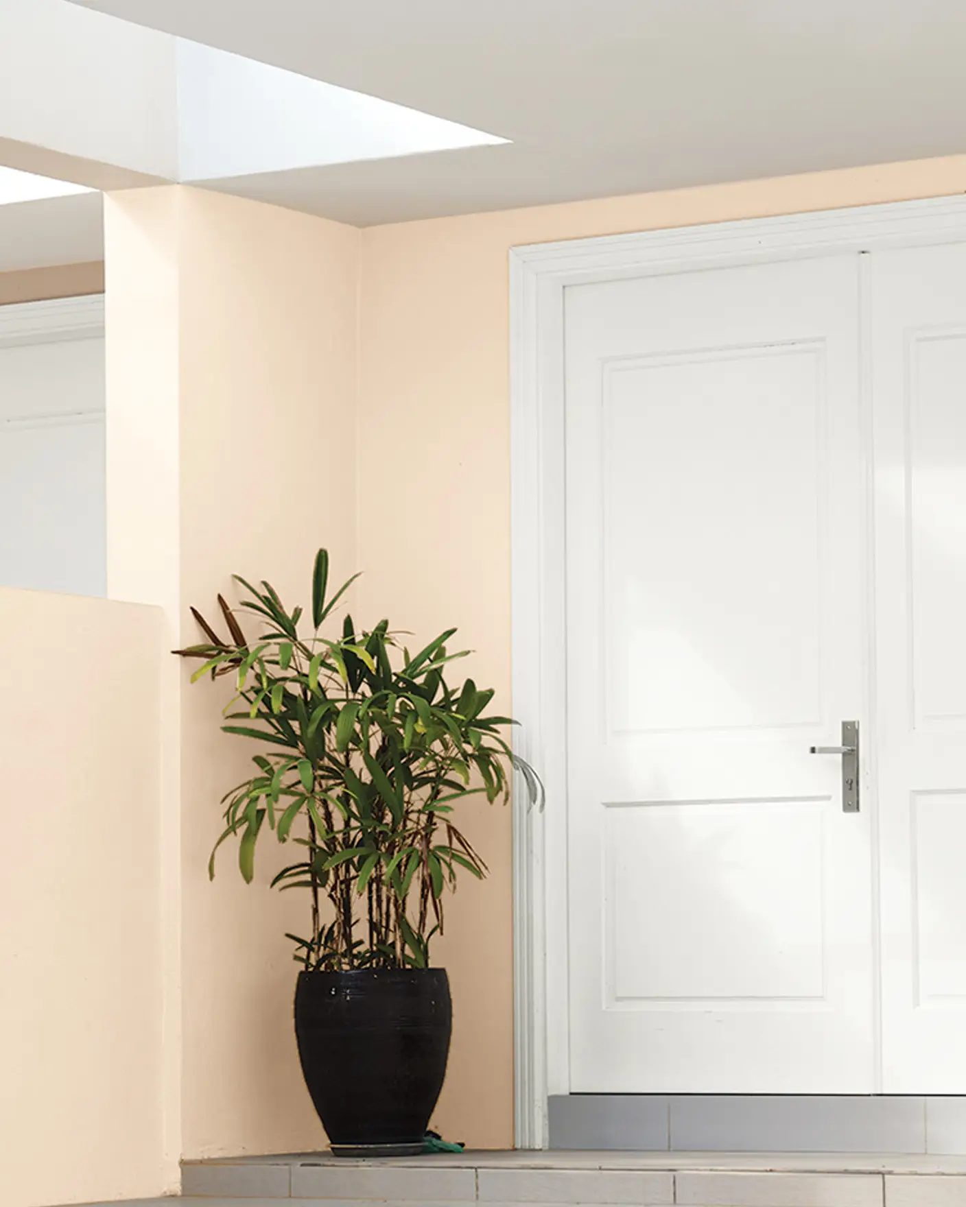 Jotun 1998 Spring Champagne