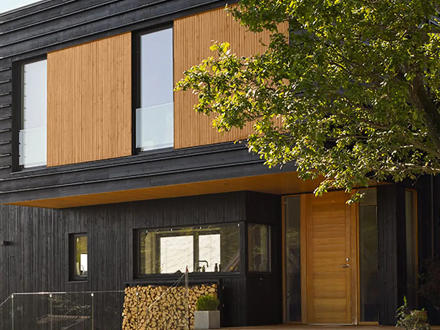 Grå og sorte nyanser