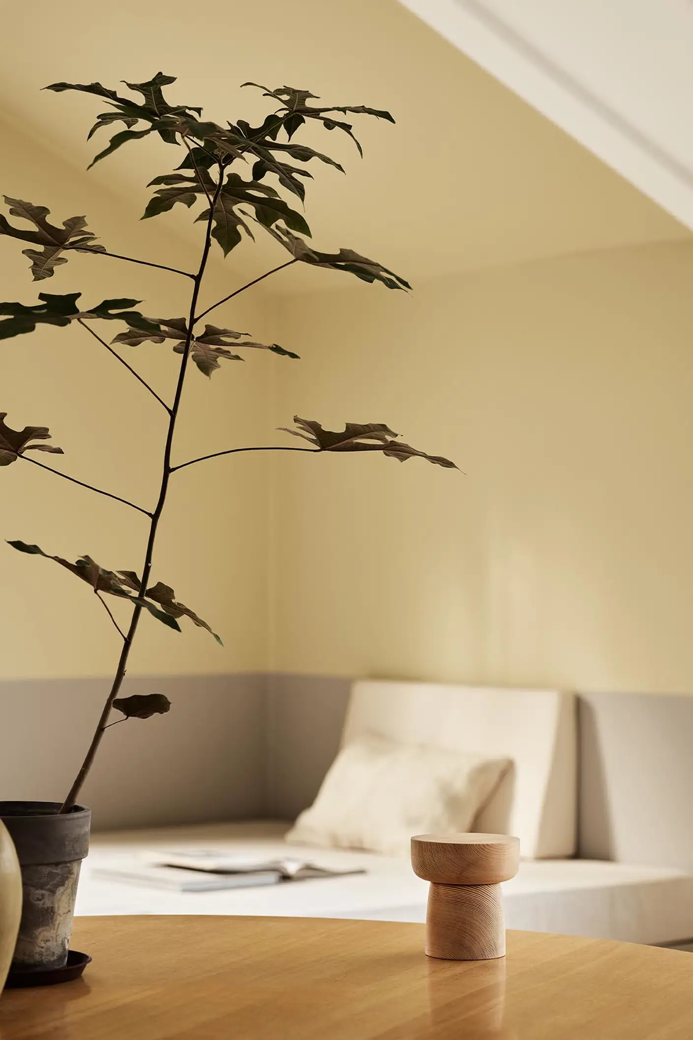 A potted plant and a daybed with light bedding against muted, greenish yellow walls painted in the colour 1965 Ginger Tea from Jotun.