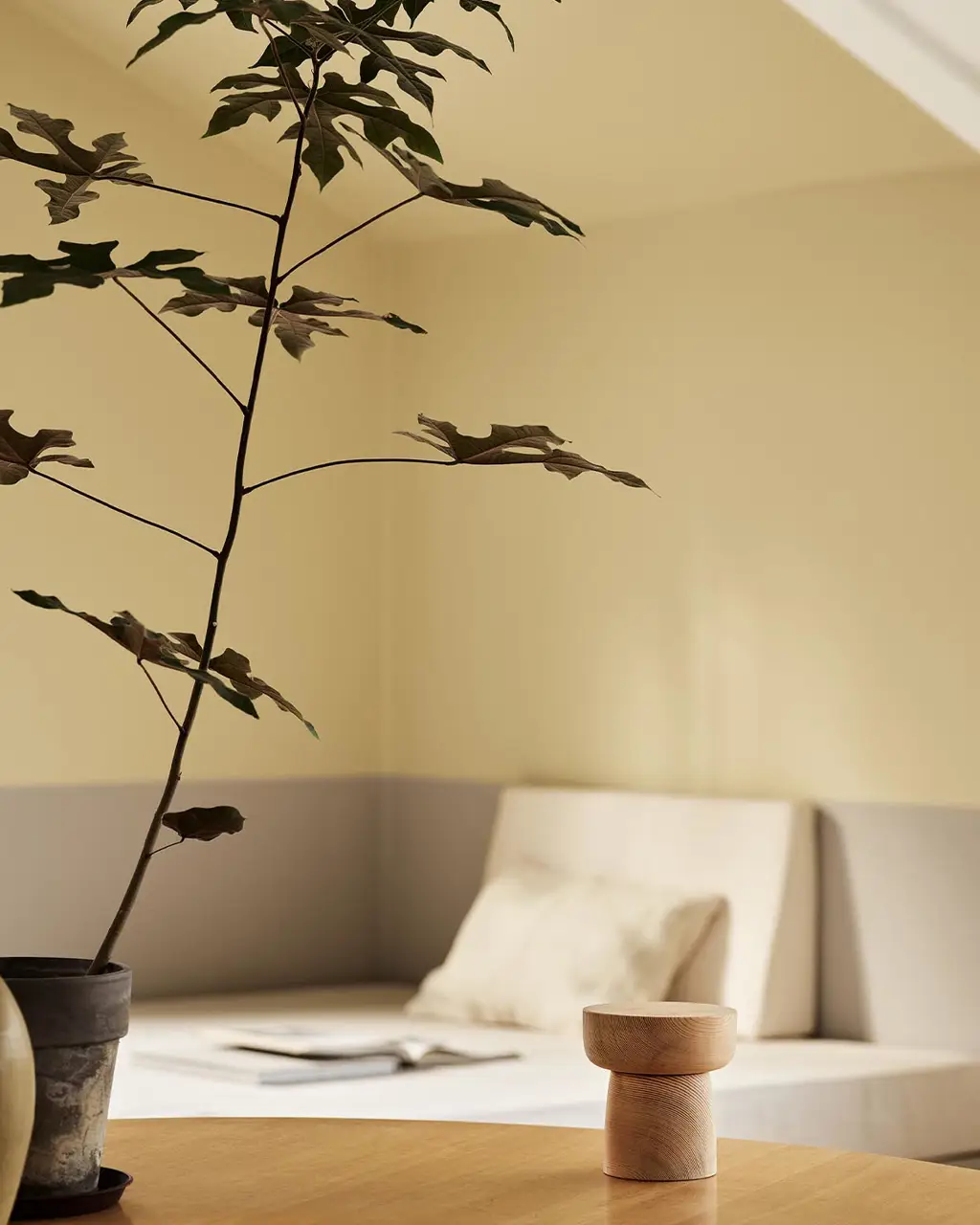 A potted plant and a daybed with light bedding against muted, greenish yellow walls painted in the colour 1965 Ginger Tea from Jotun.