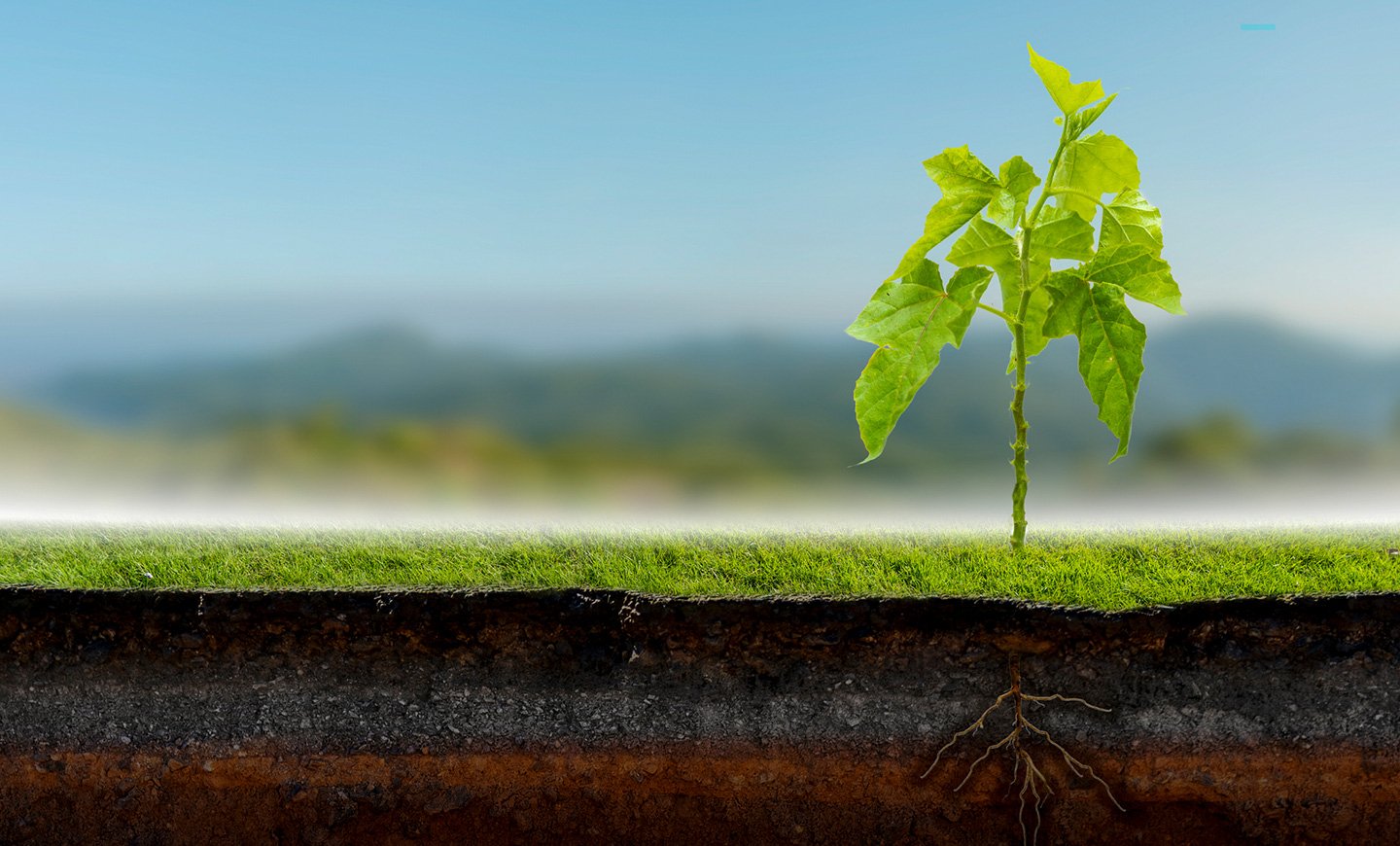 Outdoor Water Use | LEED - Green Building