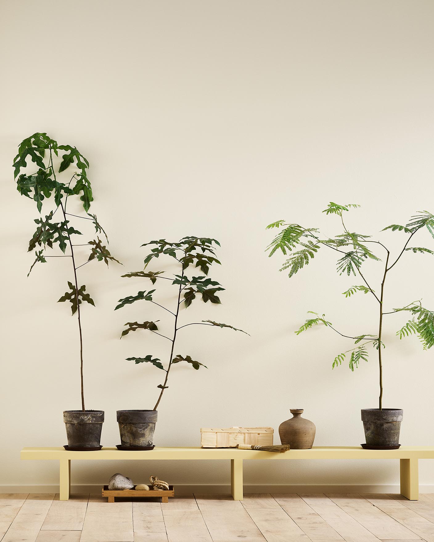 A yellow bench in the Jotun colour 1965 Ginger Tea against a golden, white wall painted in 1625 Soul.