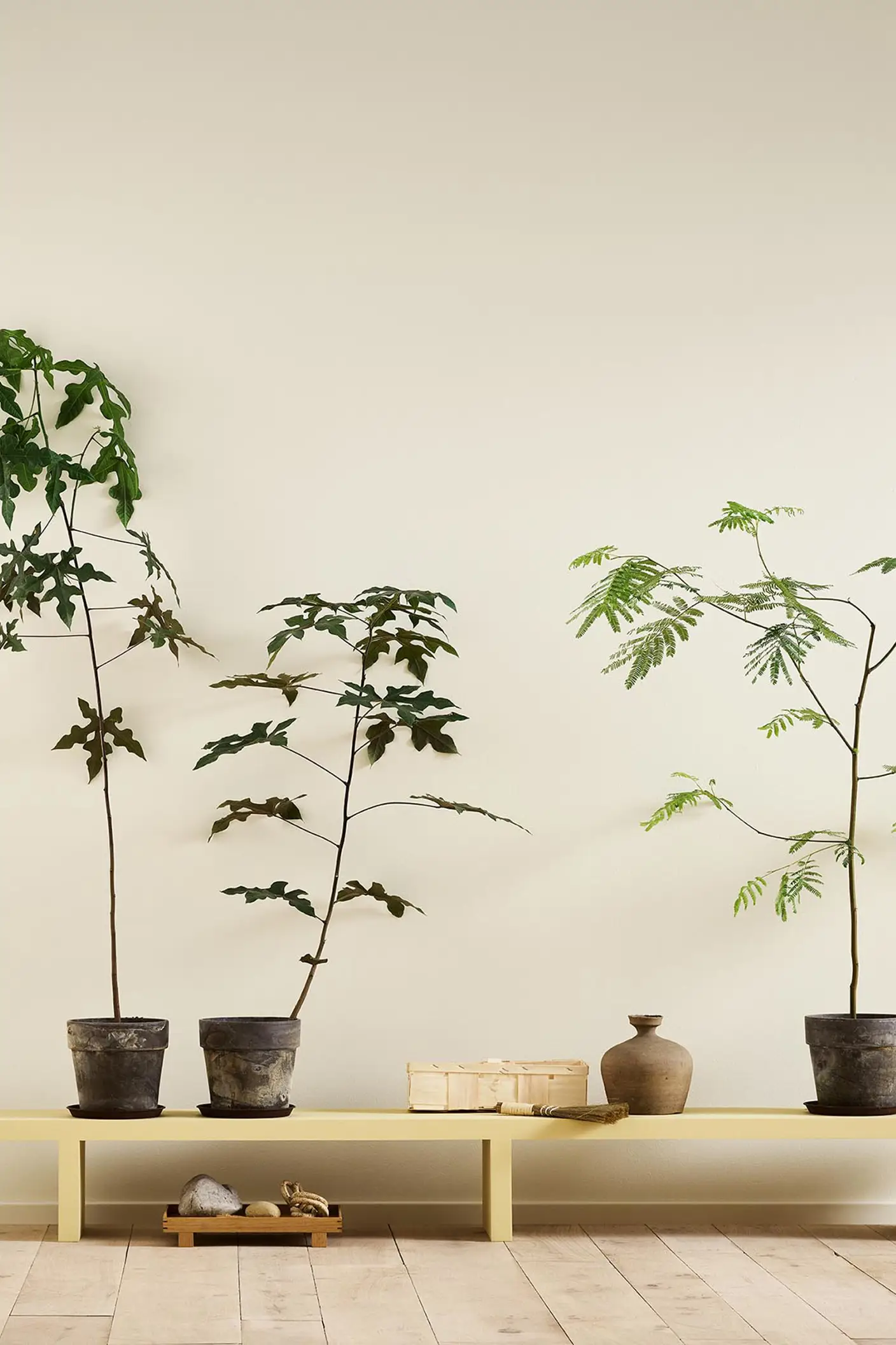 A yellow bench in the Jotun colour 1965 Ginger Tea against a golden, white wall painted in 1625 Soul.