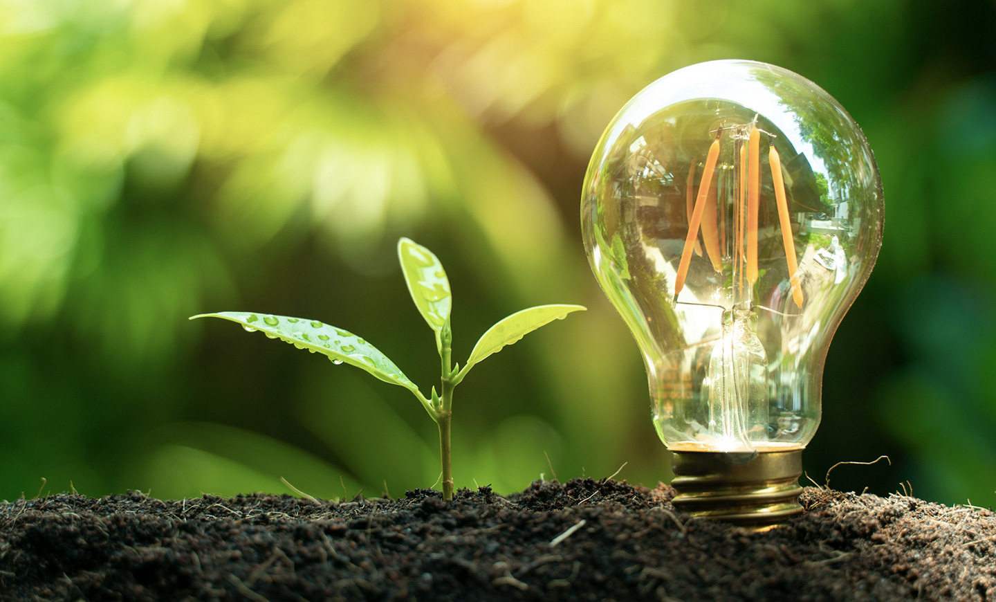 Key Highlights | LEED - Green Building