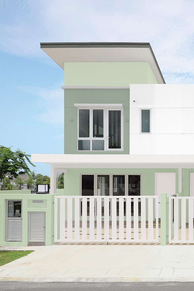 Jotun 7236 Chi 7037 Sour Onion 7379 Washed Green