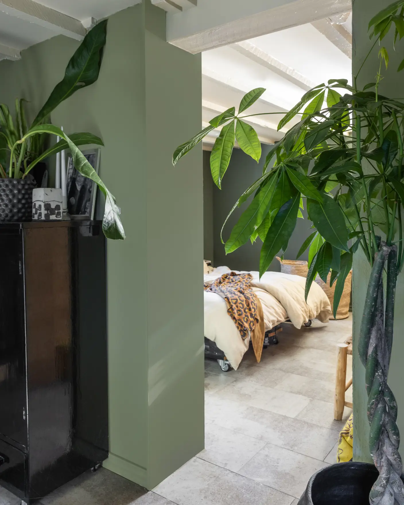 Gang malt grønn med Jotun Green Tea, beige tak i Jotun Soft Dunes og sortmalt skap omringet av grønne planter.