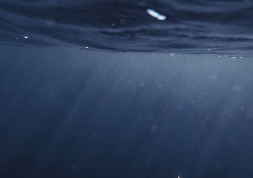 Under havoverflaten lever det mange organismer feste seg til båten og lage begroing