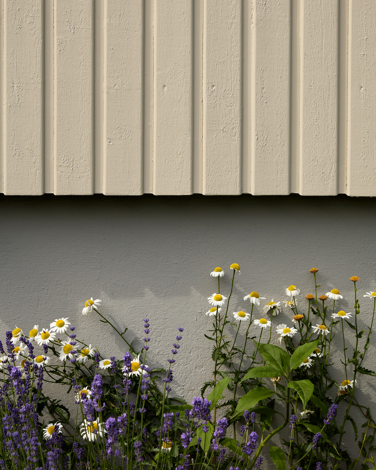 Grå grunnmur i fargen Jotun Valmuefrø under, beige trekledning i Jotun Sandbeige over