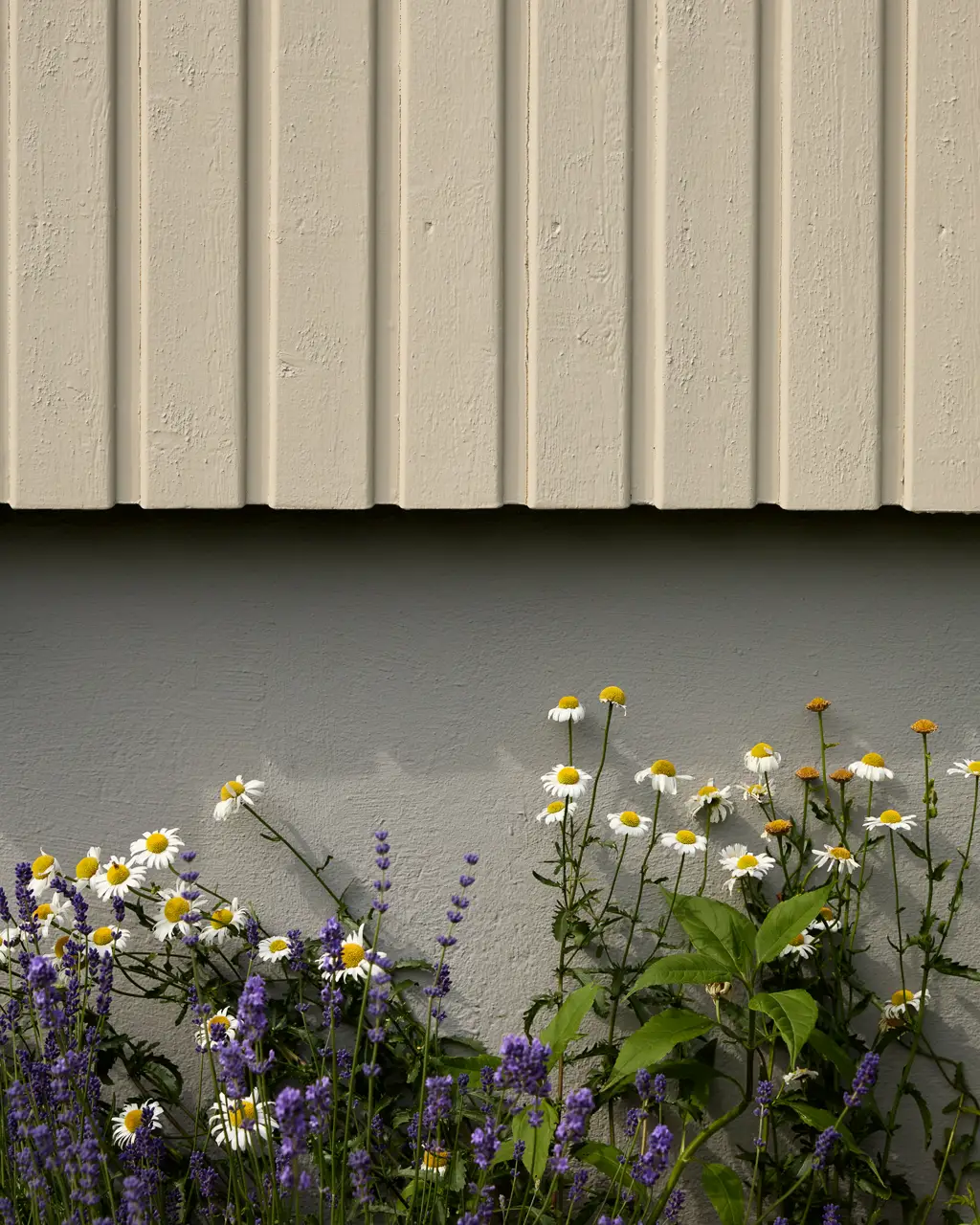 Grå grunnmur i fargen Jotun Valmuefrø under, beige trekledning i Jotun Sandbeige over