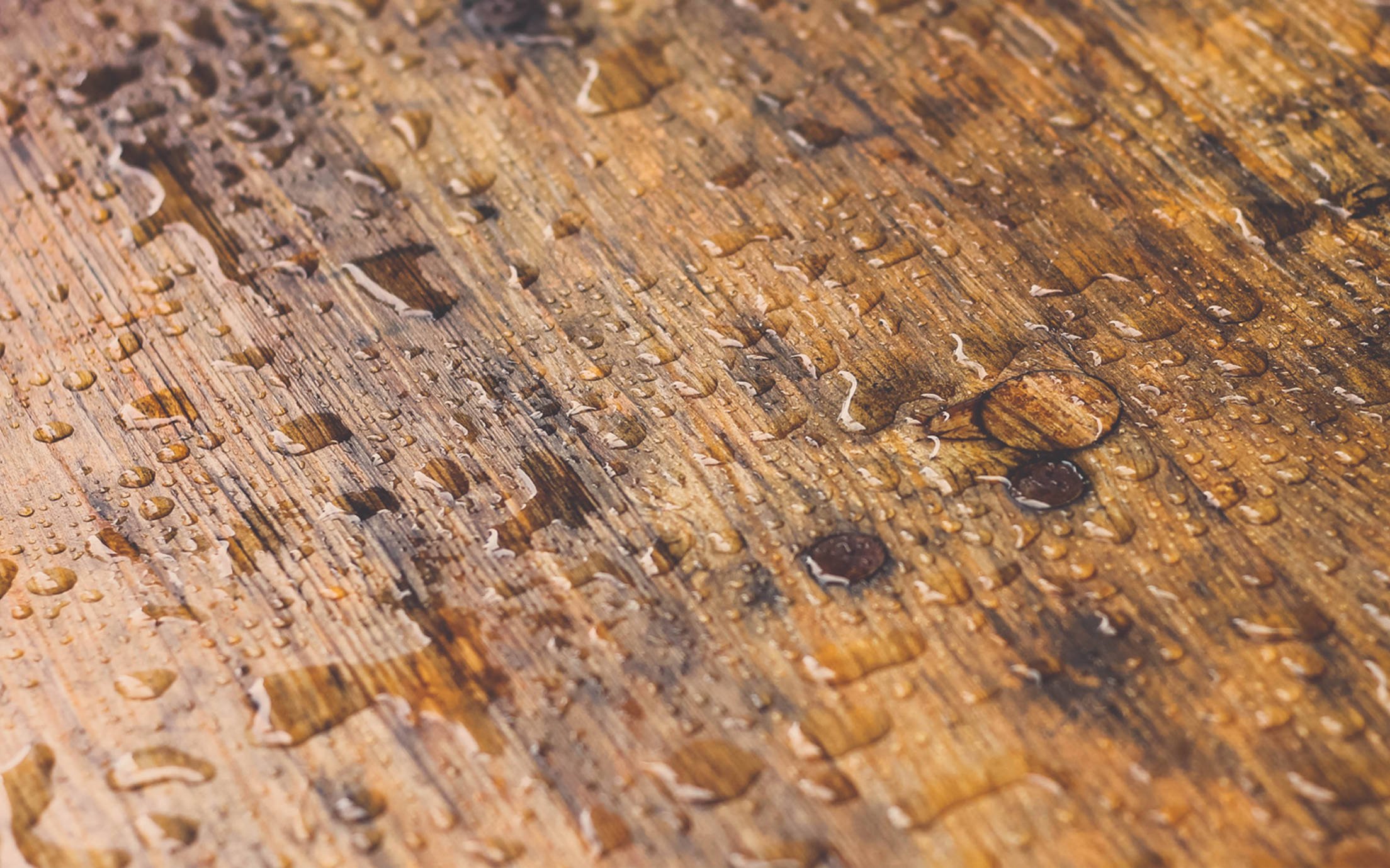 Piece of wood covered in rain drops. 