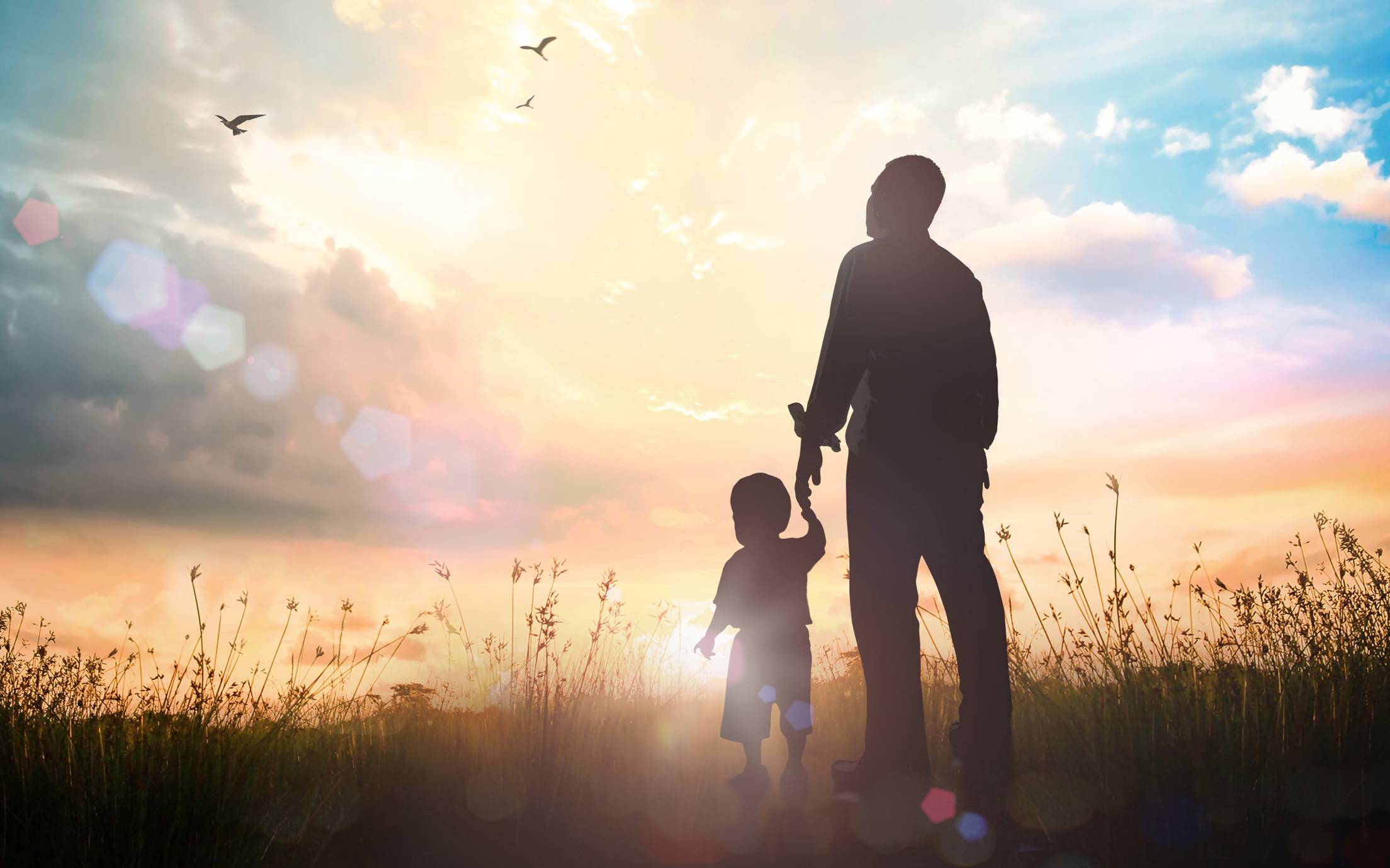Father and son holding hands in a field as they look towards the sun