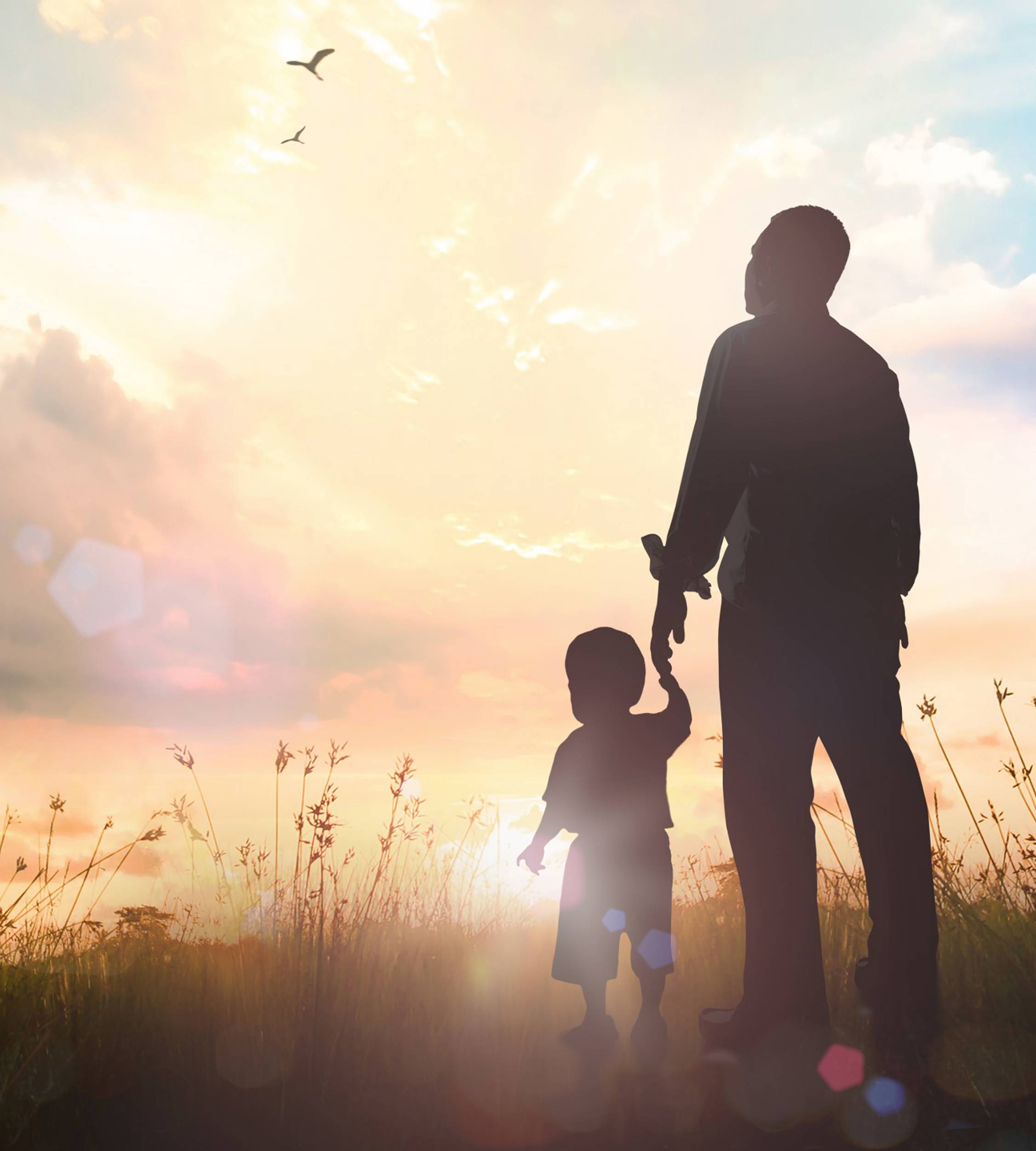 Father and son holding hands in a field as they look towards the sun