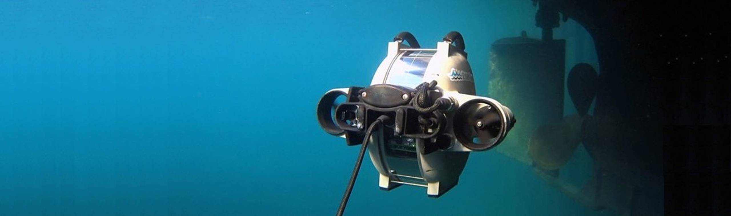 Underwater marine robot