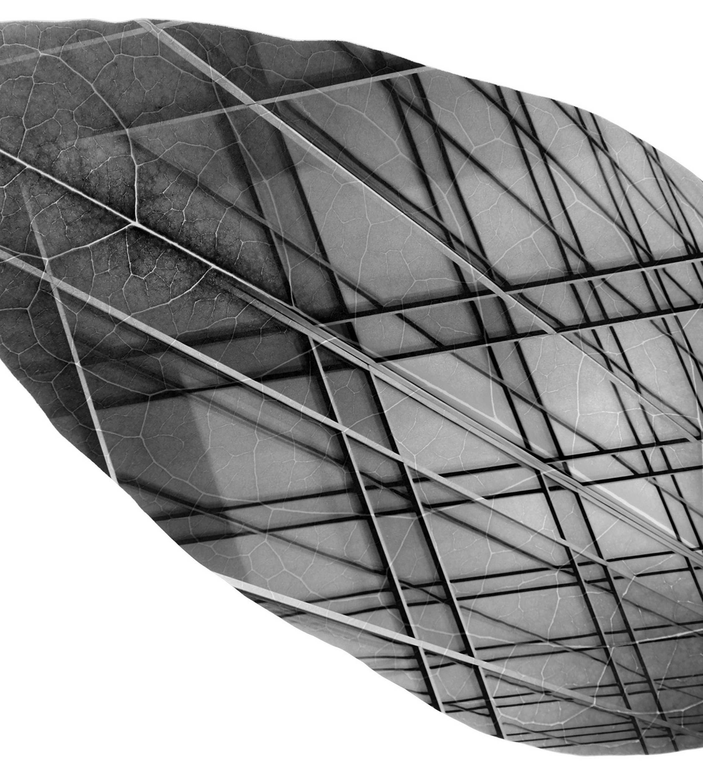 Steel structure in leaf shape