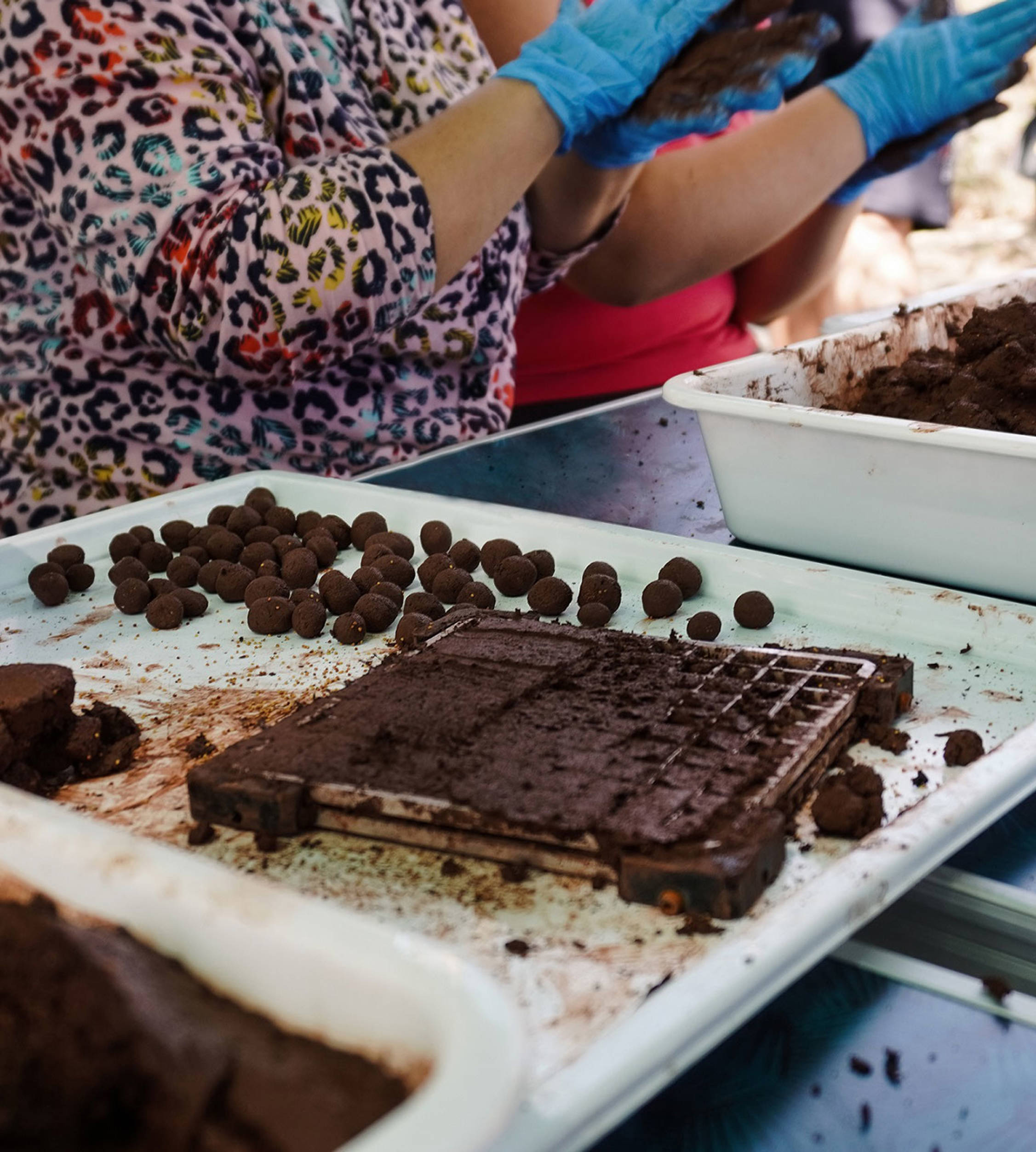 Preparing seed bombs for dropping by drone