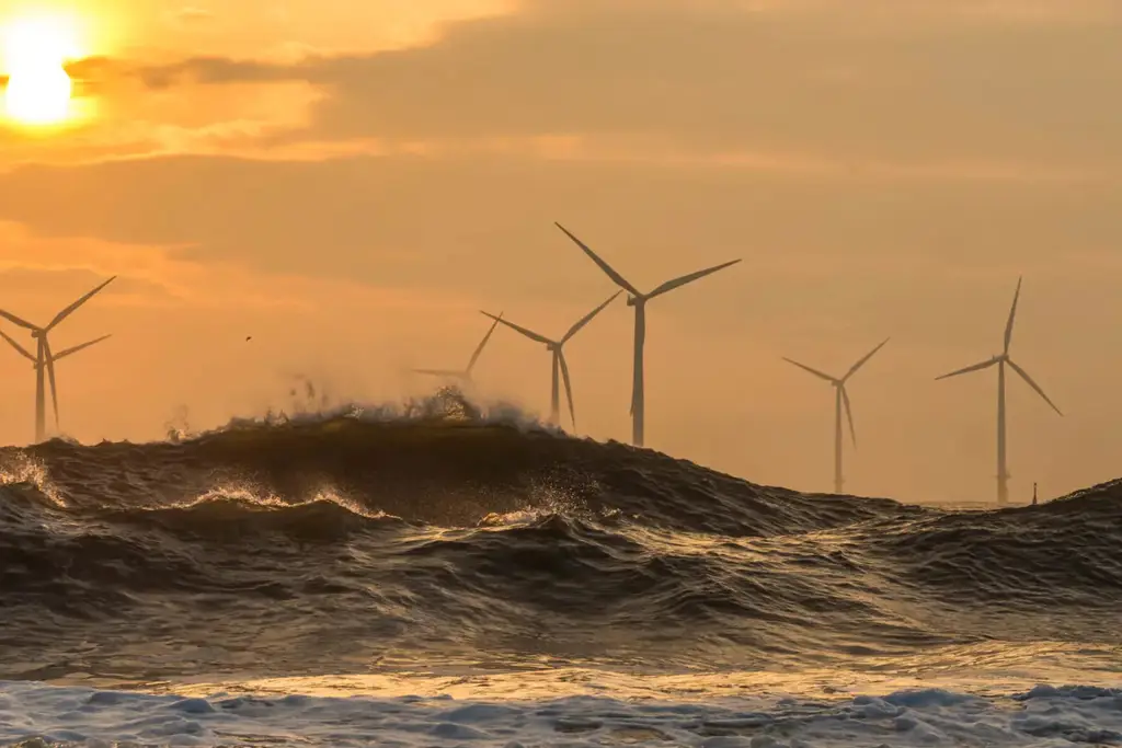 Wind farm at sea
