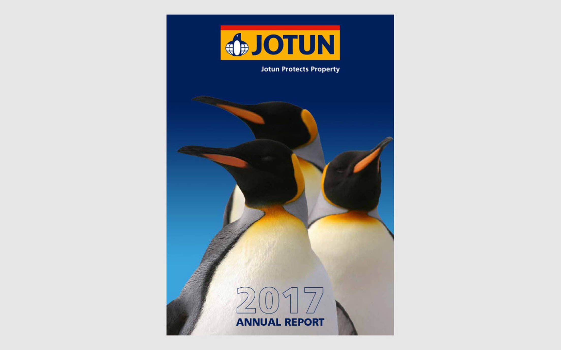 Annual Report 2017