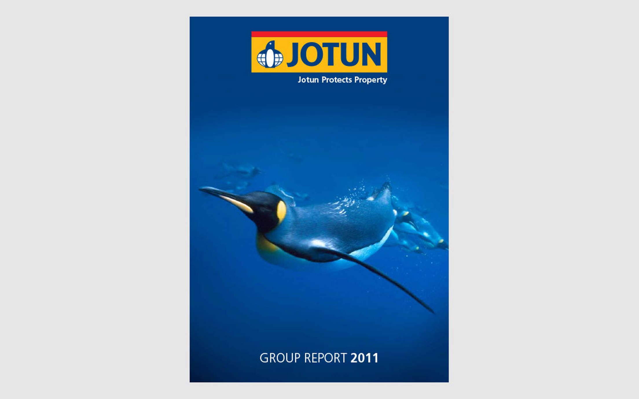 Group Report 2011