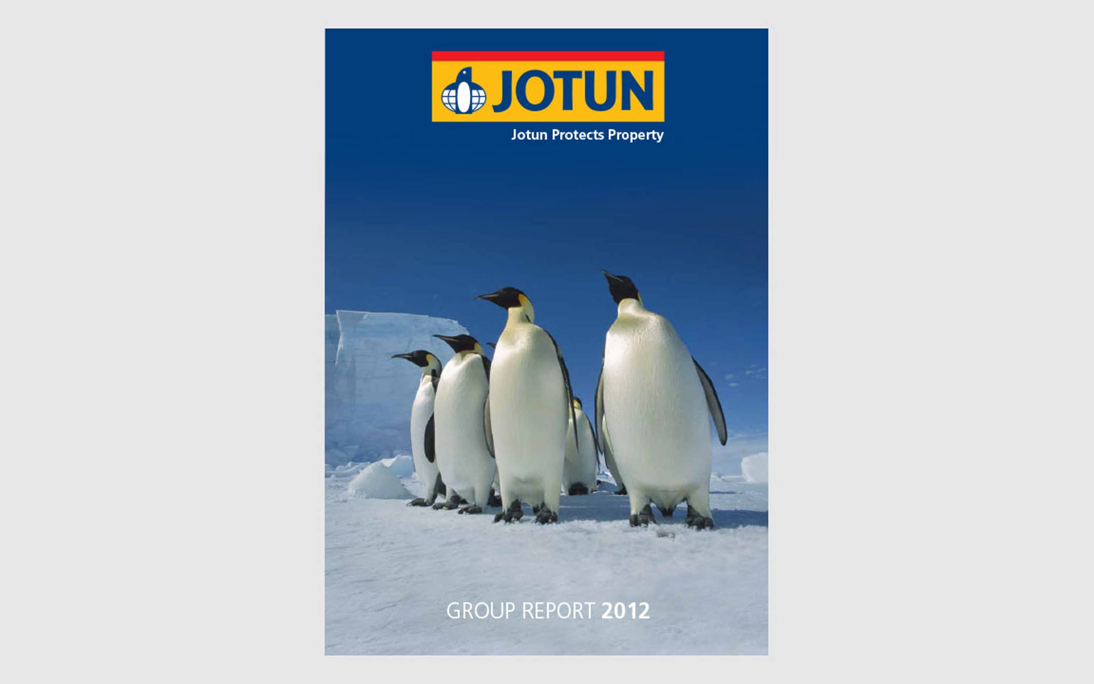 Group Report 2012