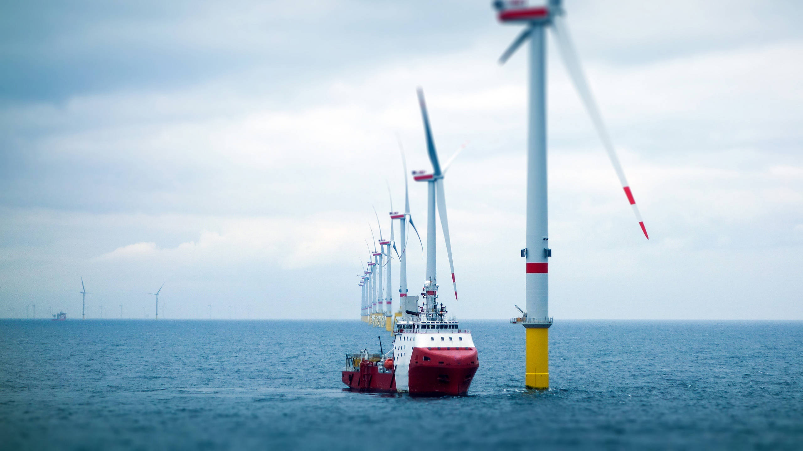 Offshore wind farm with supply ship