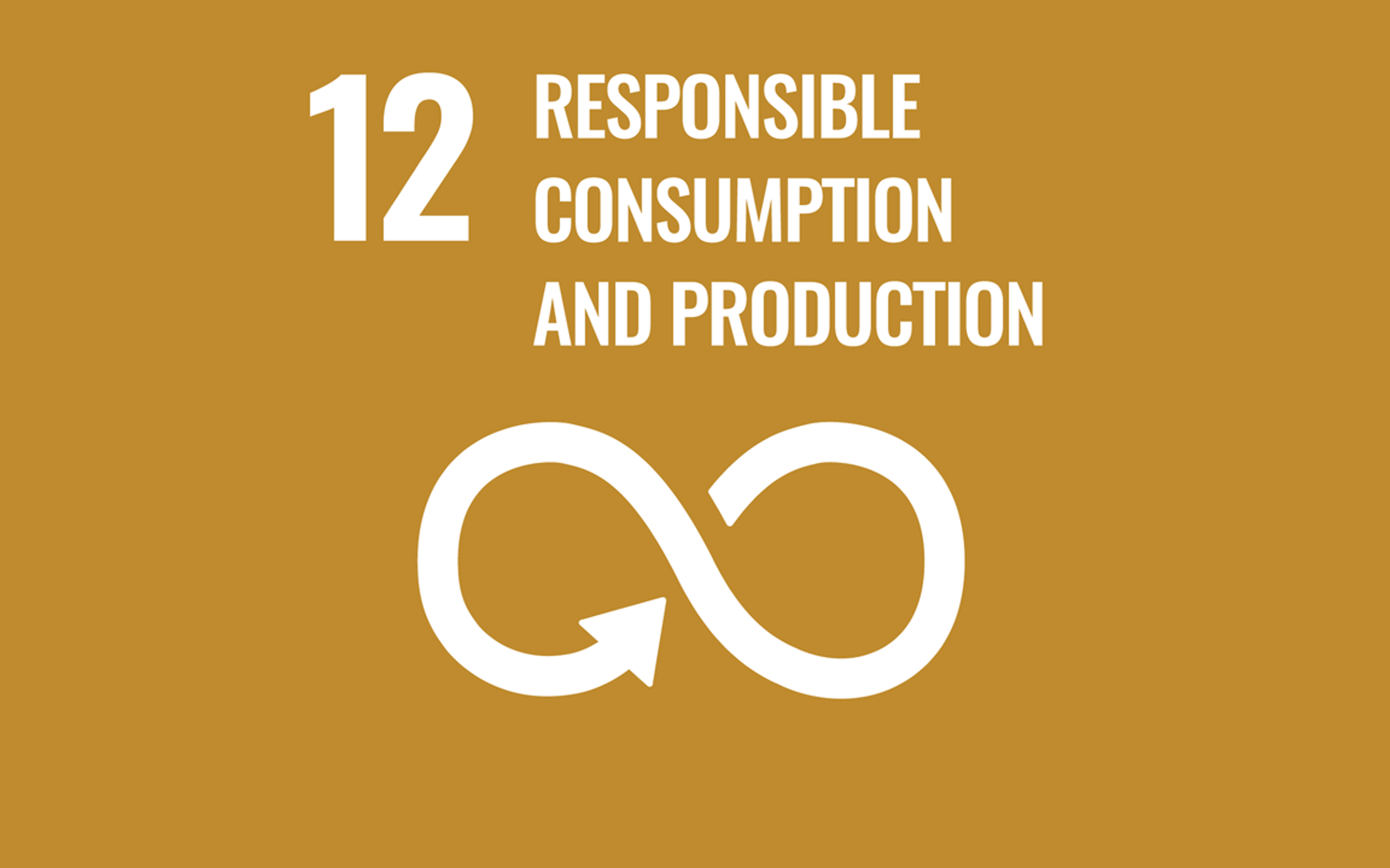 SDG No. 12 – Responsible consumption and production