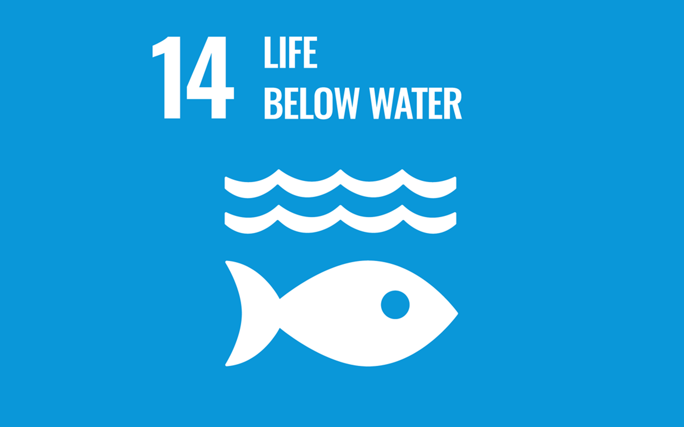SDG No. 14 – Life below water