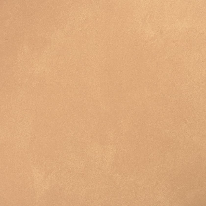 12120 DESERT PINK Interior paint colour