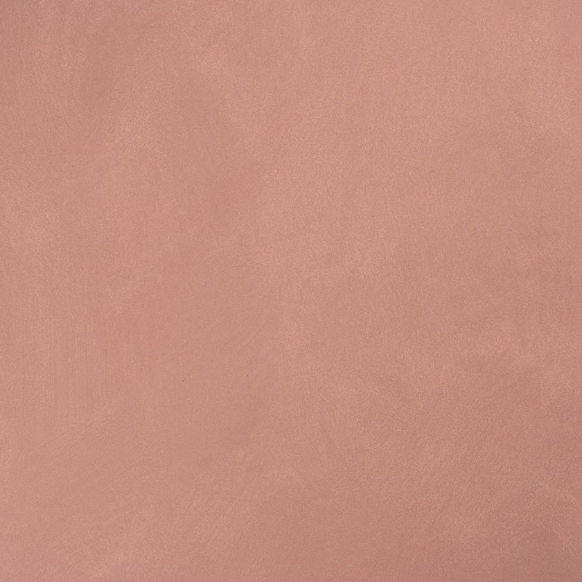 2856 WARM BLUSH Interior paint colour