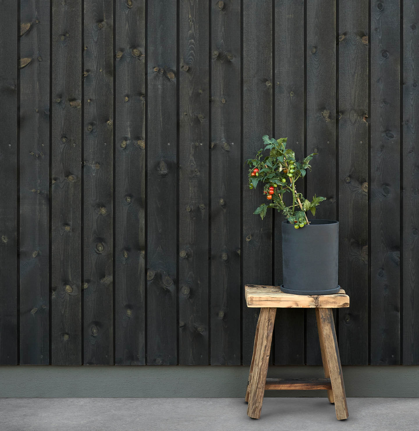 TREBITT 9809 Night Black - 1877 Valmuefrø