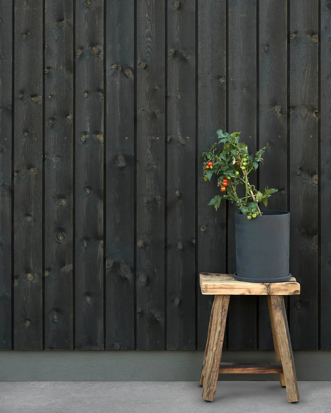 TREBITT 9809 Night Black - 1877 Valmuefrø