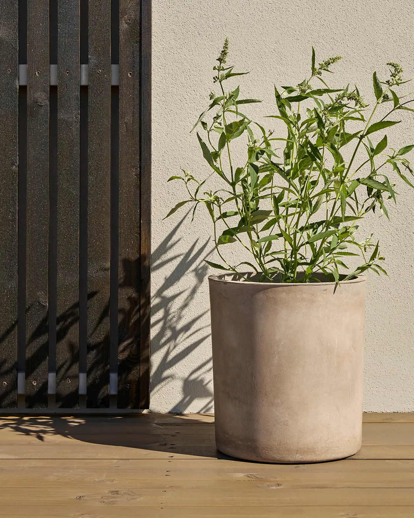 TREBITT 0675 Seterbrun - 1491 Slipestein - 90028 Skyggebrun