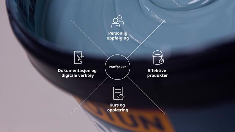 Dette får du som Proff