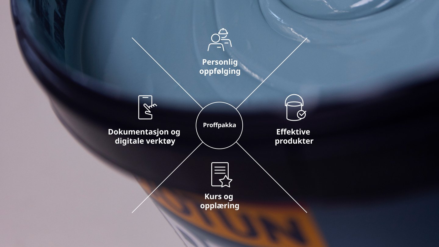 Dette får du som proff